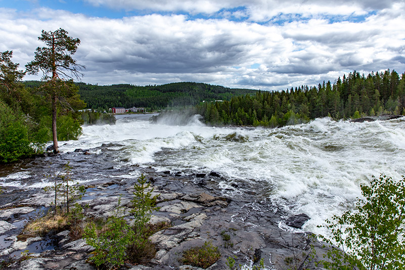 kuva: Jouko Eskelinen