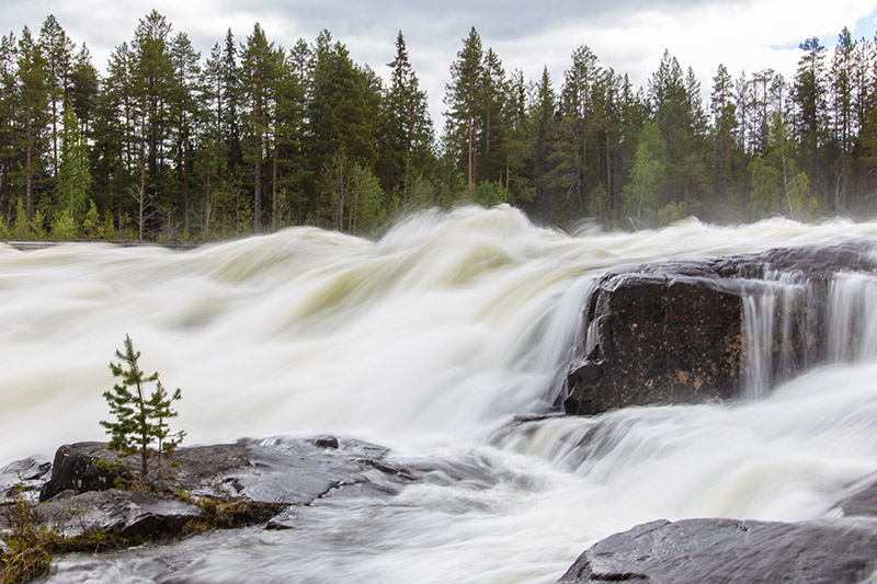 kuva: Jouko Eskelinen 